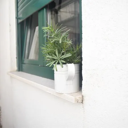 Twin Apartment Split